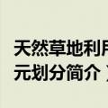 天然草地利用单元划分（关于天然草地利用单元划分简介）