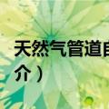 天然气管道自闭阀（关于天然气管道自闭阀简介）