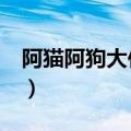 阿猫阿狗大作战在哪里玩（阿猫阿狗大作战2）