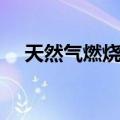 天然气燃烧器（关于天然气燃烧器简介）