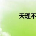 天理不容（关于天理不容简介）