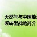 天然气与中国能源低碳转型战略（关于天然气与中国能源低碳转型战略简介）