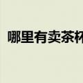 哪里有卖茶杯犬的?（北京哪里有卖茶杯犬）