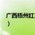 广西梧州红豆网最新动向?（广西梧州红豆网）