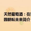 天然葡萄酒：在葡萄园耕耘未来（关于天然葡萄酒：在葡萄园耕耘未来简介）