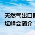 天然气出口国论坛峰会（关于天然气出口国论坛峰会简介）