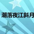 潮落夜江斜月里什么意思（潮落夜江斜月里）