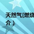 天然气[燃烧]热值（关于天然气[燃烧]热值简介）