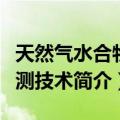 天然气水合物探测技术（关于天然气水合物探测技术简介）