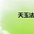 天玉法身（关于天玉法身简介）