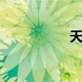 天煞（关于天煞简介）