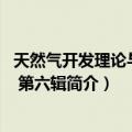 天然气开发理论与实践 第六辑（关于天然气开发理论与实践 第六辑简介）