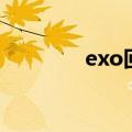 exo回归文（exo完结文库）