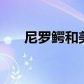 尼罗鳄和美洲鳄的皮料区别（尼罗鳄）