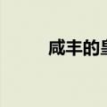 咸丰的皇太后（咸丰皇帝的皇后）