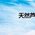天然芦苇（关于天然芦苇简介）