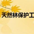 天然林保护工程（关于天然林保护工程简介）