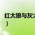 红太狼与灰太狼繁殖后代图（红太狼与灰太狼）