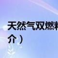 天然气双燃料汽车（关于天然气双燃料汽车简介）