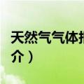 天然气气体报警器（关于天然气气体报警器简介）