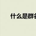 什么是群名片和群名称（群名片前缀）