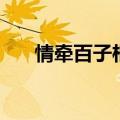 情牵百子柜粤语屋（情牵百子柜粤语）