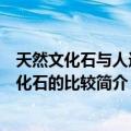 天然文化石与人造文化石的比较（关于天然文化石与人造文化石的比较简介）