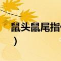 鼠头鼠尾指什么生肖?（鼠头鼠尾是什么生肖）