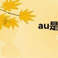au是什么货币（au是什么）