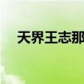 天界王志那都（关于天界王志那都简介）