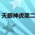 天眼神虎第二部（关于天眼神虎第二部简介）