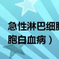 急性淋巴细胞白血病有什么症状（急性淋巴细胞白血病）