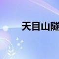 天目山隧道（关于天目山隧道简介）