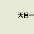 天目一个（关于天目一个简介）