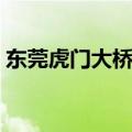 东莞虎门大桥货车可以走吗（东莞虎门大桥）