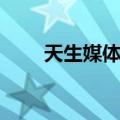 天生媒体人（关于天生媒体人简介）