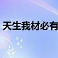 天生我材必有用（关于天生我材必有用简介）