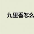 九里香怎么养家庭养法（九里香怎么养）