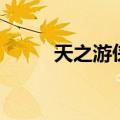天之游侠挂技能（天之游侠外挂）