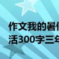 作文我的暑假生活300字三年级（我的暑假生活300字三年级）