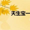 天生宝一对（关于天生宝一对简介）