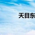 天目东路（关于天目东路简介）