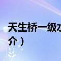 天生桥一级水电站（关于天生桥一级水电站简介）