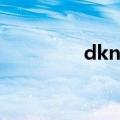 dkny发音（dkny怎么读）