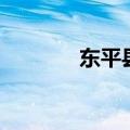 东平县手工活（东平手工活）