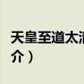天皇至道太清玉册（关于天皇至道太清玉册简介）