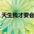 天生我才要会用（关于天生我才要会用简介）