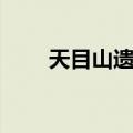 天目山遗址（关于天目山遗址简介）