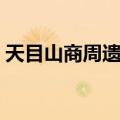 天目山商周遗址（关于天目山商周遗址简介）