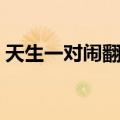 天生一对闹翻天（关于天生一对闹翻天简介）